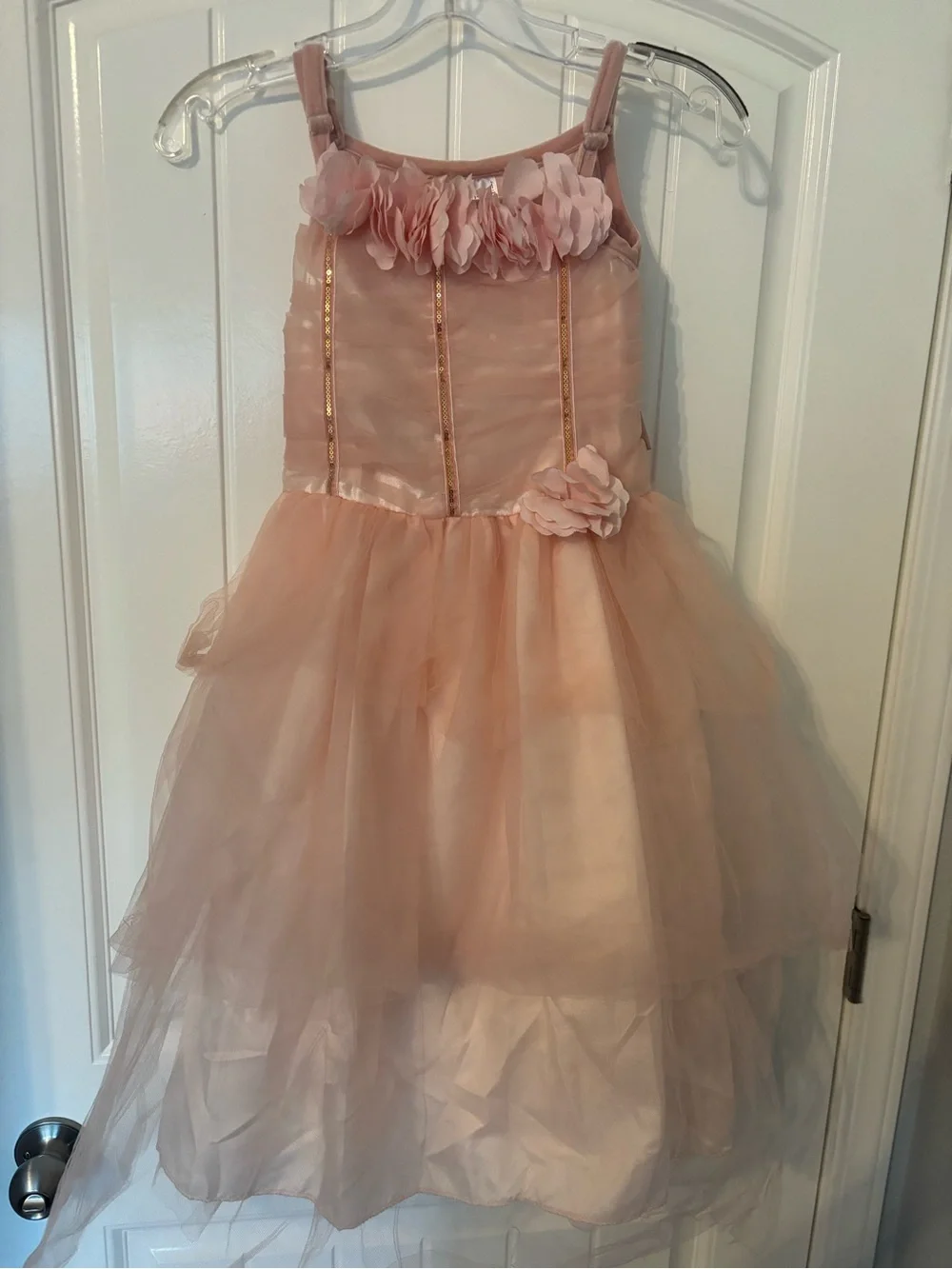 Girls Pink Floral Tulle Princess Costume Dress - Kids Costume